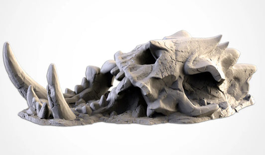 Bone Skull